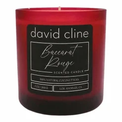 Baccarat Rouge Scented Candle