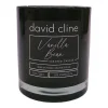 Vanilla Bean Scented Candle