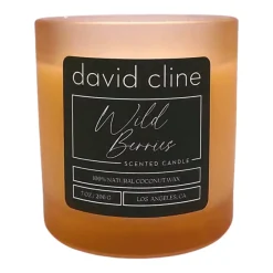 Wild Berries Scented Candle
